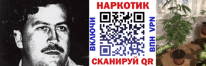 Купить закладку Гашиш  Cocaine  АМФЕТАМИН  Бошки Шишки  МЕФ  Кукмор