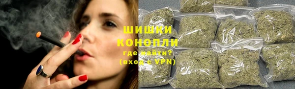 сатива Богородицк