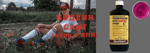 сатива Богородицк