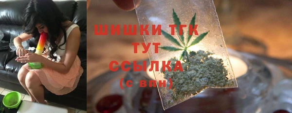 сатива Богородицк
