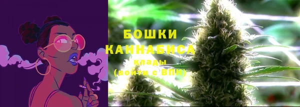 гидропоника Богородск