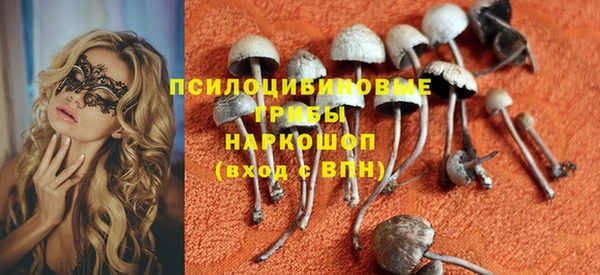 гидропоника Богородск