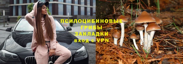 гидропоника Богородск