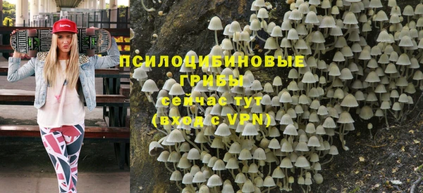 гидропоника Богородск