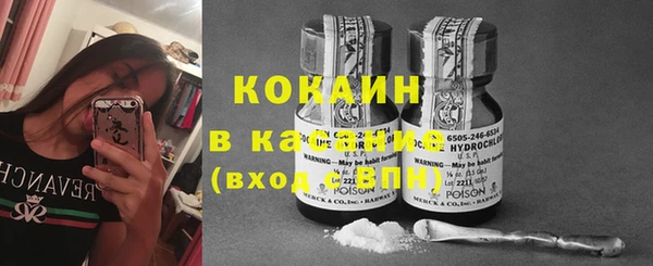 сатива Богородицк