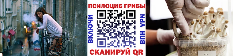 Купить где  Кукмор  Псилоцибиновые грибы MAGIC MUSHROOMS 
