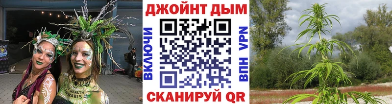 Купить закладки  Кукмор  Бошки Шишки Bruce Banner 